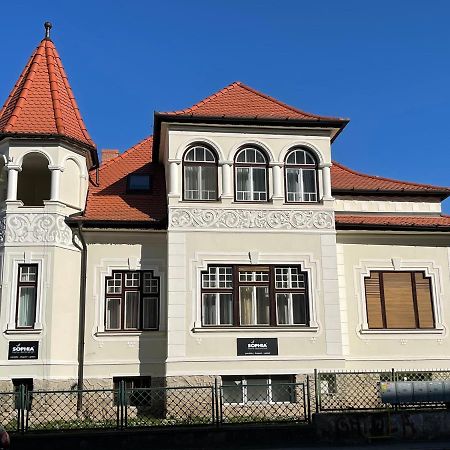Vila Marioara Сибиу Екстериор снимка